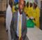 Kibiru Muthaka, CFA: Biography, Age and Net-worth