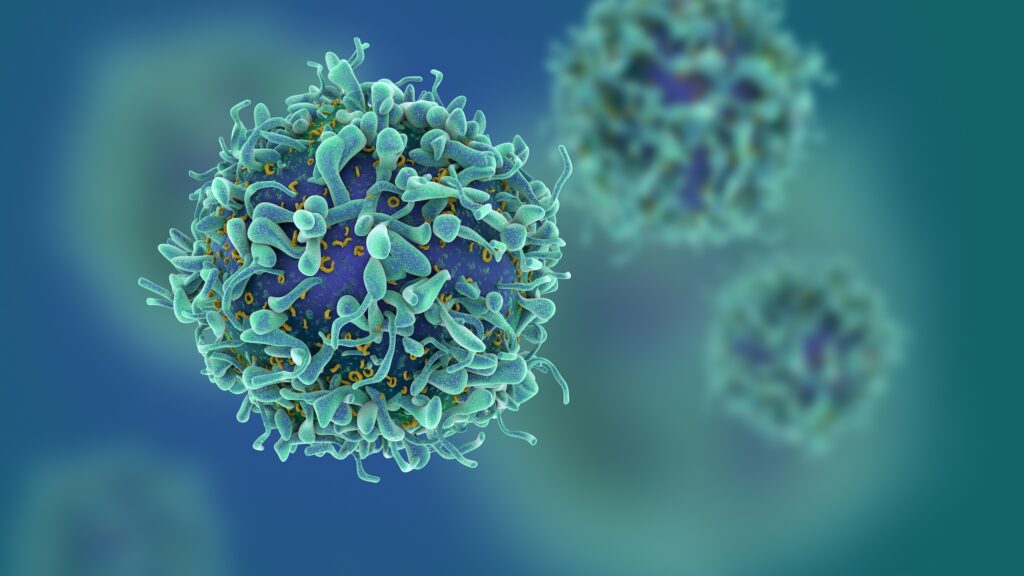 a digital illustration of three T cells, immune cells depicted in light green and blue